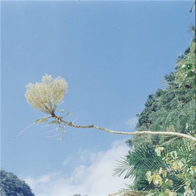 全明星召唤gm变态版下载